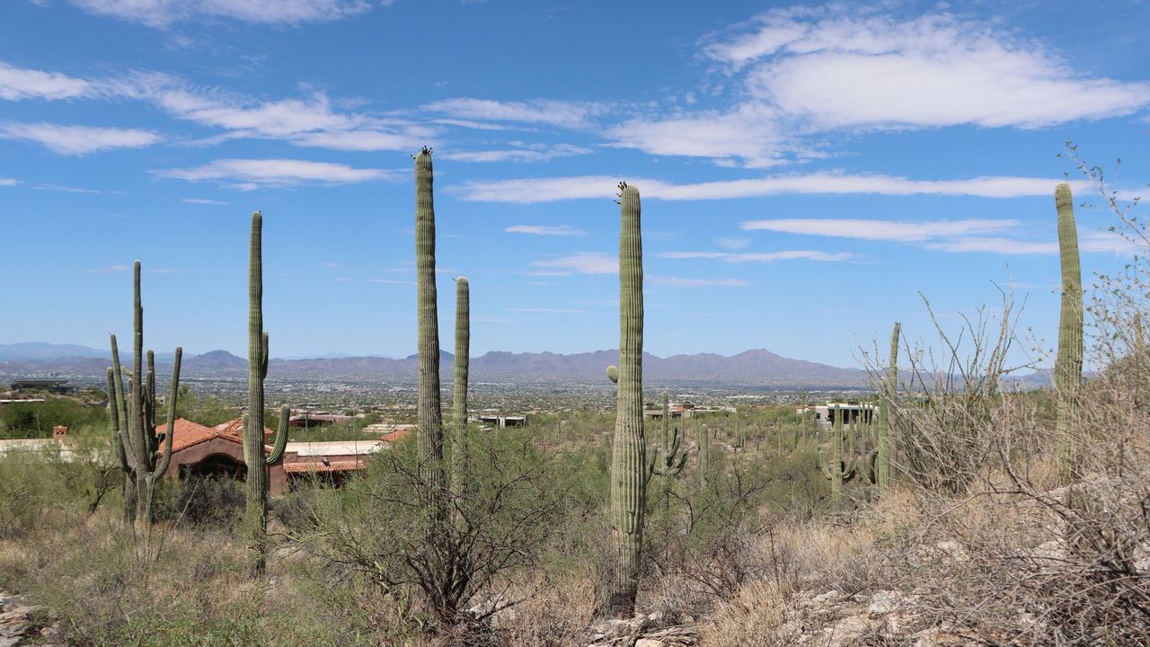 Pima County at dusk